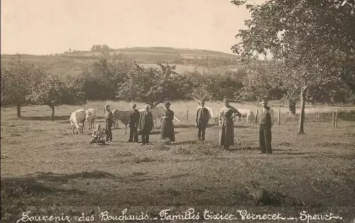Goutti&egrave;res d'Antan