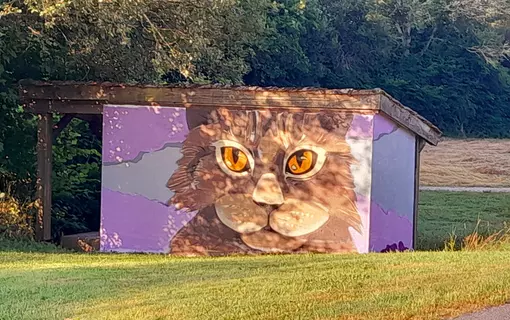 3&egrave;me &eacute;dition des Chats de Goutti&egrave;res"